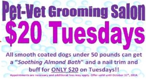 $20 Tuesday promo