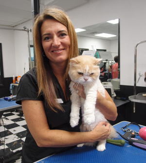 cat grooming is available at pet vet supply